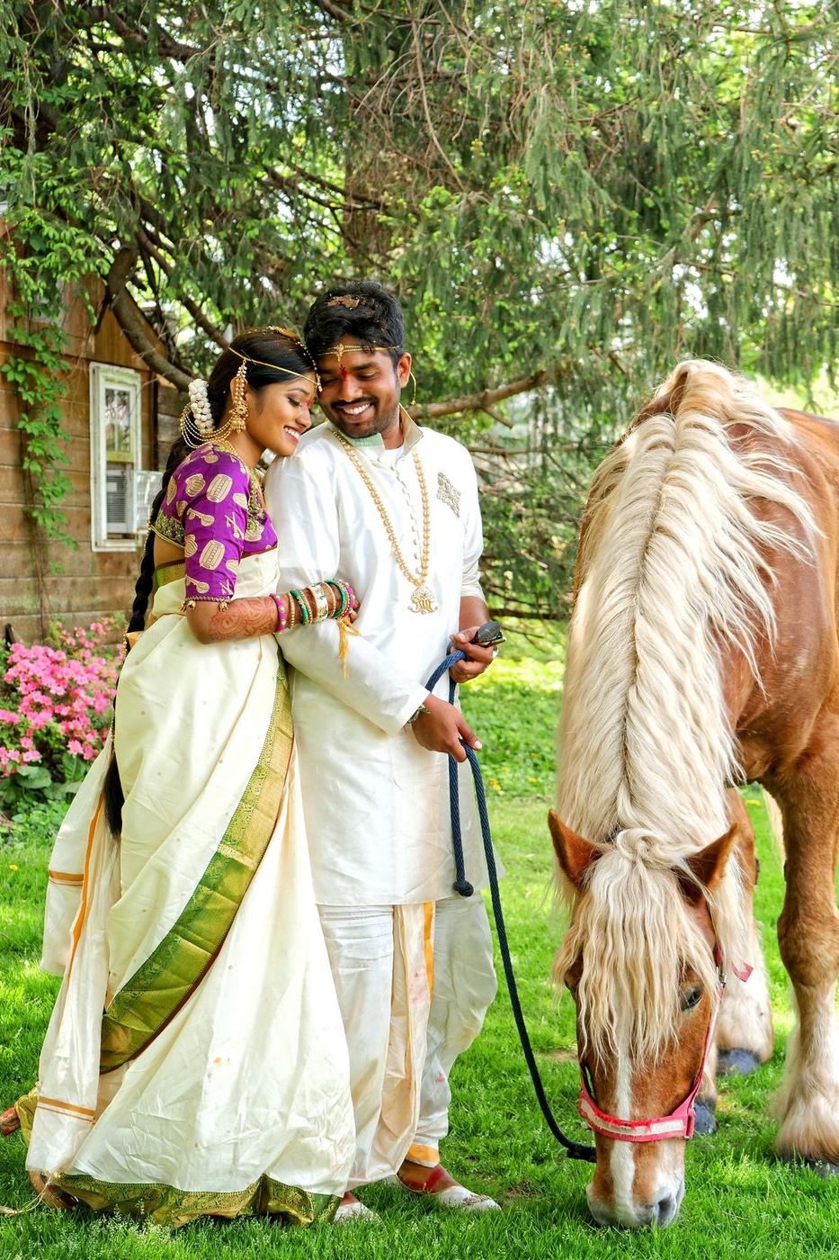 Couple in South Indian wedding dress walking a white horse at Fairwind Farms, Maryland